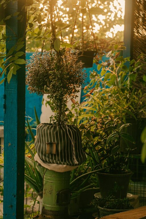 Tips for Creating a Relaxing Outdoor Garden Space at Home